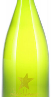 Weingut Schembs Riesling Wilder Wonnegauer 1,0l.