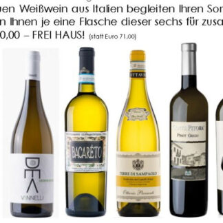 Sommerwein Aktion Italien 6 Flaschen