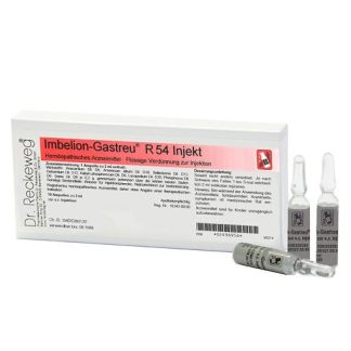 IMBELION-GASTREU R54 Injekt Ampullen 10X2 ml *