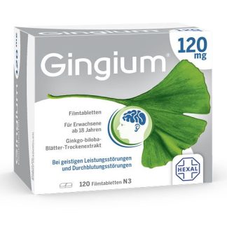 GINGIUM 120 mg Filmtabletten 120 St *