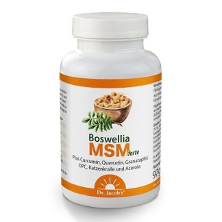 BOSWELLIA MSM forte Dr. Jacob's Tabletten 90 St