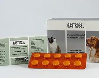 Selectavet Gastrosel | 100 Tablets | Supplementary Feed for Dogs and Cats | To Support Physiological Digestion | With Magnesium Oxide and Kaolinite