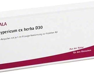 Hypericum EX Herba D 30 Ampoules 10 x 1 ml