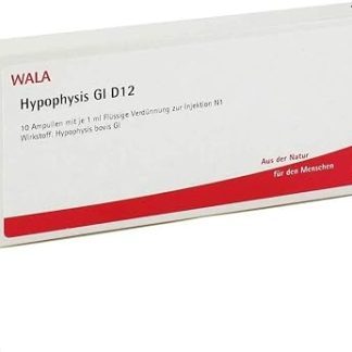 Hypophysis GL D 12 Ampullen 10x1 ML