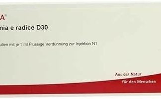 BRYONIA E Radice D 30 Ampoules 10 x 1 ml