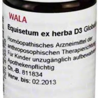 EQUISETUM EX HERBA D 3, 20 g