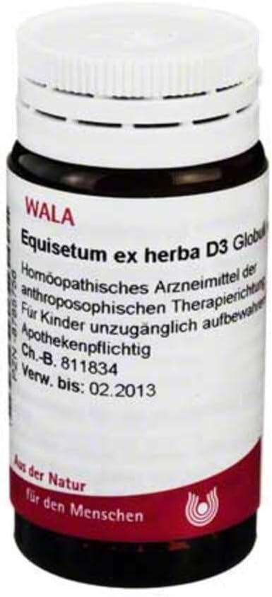 EQUISETUM EX HERBA D 3, 20 g