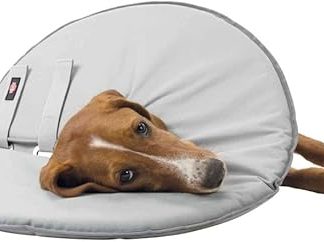 Trixie 19424 protective collar, M: 38-42 cm / 21.5 cm, gray