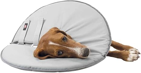 Trixie 19424 protective collar, M: 38-42 cm / 21.5 cm, gray