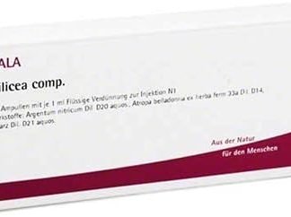 Silicea comp. ampoules 10 x 1 ml