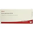 Renes/Cuprum Ampoules 10x1ml by Wala