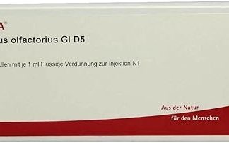 Bulbus Olfactorius GL D 5 Ampoules 10 x 1 ml