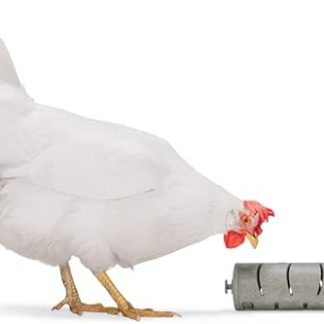Beeztees Snack Roller, Chicken Accessories, Feeder for Chickens, Snack Roller, 22.5 x 6.5 cm, Grey