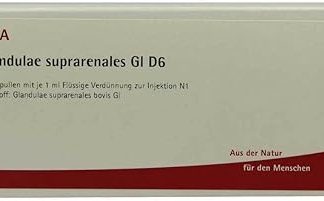 GLAND Ulae Supraren GL D 6 Ampoules 10x1 ML