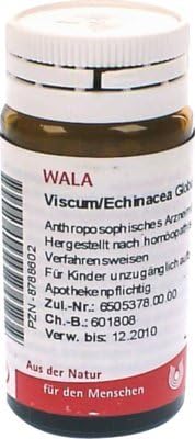 Viscum Echinacea Globules 20 g