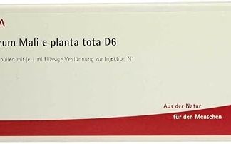 Viscum Mali e Planta Tota D 6 Ampoules 10 x 1 ml