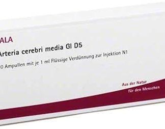 Arteria Cerebri Media GL D Ampullen 10x1 ML