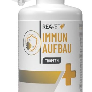 ReaVET Immune Building Drops for Dogs and Cats 100 ml - Strengthens the Immune System, Defense I Vitamins Multivitamin Liquid - Valuable, Purely Natural Vitamins & Minerals