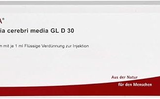 Arteria Cerebri Med GL D30 10x1 ML