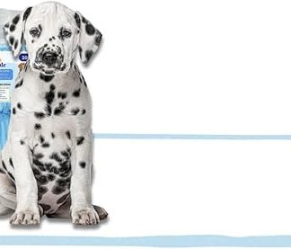 Fazlanix PIPI Mats for Dogs, Pack of 100, 60 x 60 cm Training Pads, Disposable Changing Pads, Super Absorbent, Leak-Proof, 6 Layers, Ideal for Puppies, Dogs & Older Pets