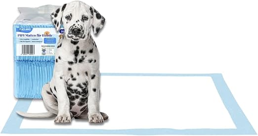 Fazlanix PIPI Mats for Dogs, Pack of 100, 60 x 60 cm Training Pads, Disposable Changing Pads, Super Absorbent, Leak-Proof, 6 Layers, Ideal for Puppies, Dogs & Older Pets