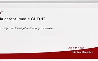 Arteria Cerebri Med GL D12 10x1 ML