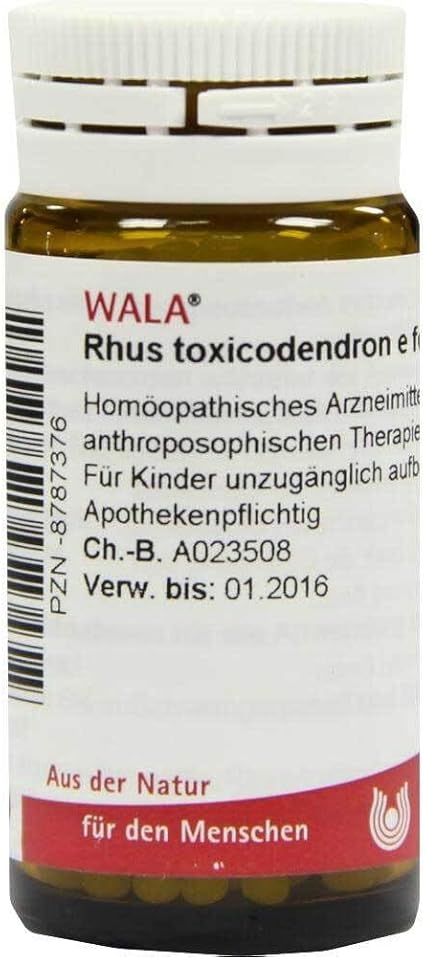 RHUS Toxicodendron E foliis D 6 Globules 20 g