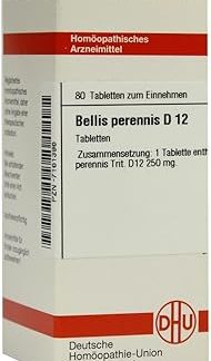 Bellis Perennis D12 Pack of 80