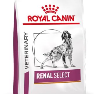 Royal Canin Renal Select Dog Food, 2 kg