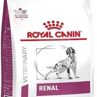 Royal Canin Renal Dog Food, 2 kg