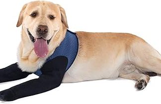 COODEO Dog Socks Against Paw Licking, Waterproof Paw Protection Boots with Non-Slip Soles for Wound Healing and Skin Protection (Blue, M)