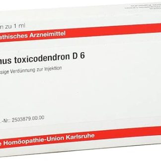 Rhus Toxicodendron D 6 Ampoules M8 x 1 ml