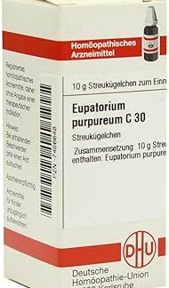 EUPATORIUM PURPUREUM C 30 Gl 10 g
