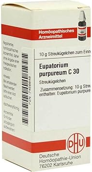 EUPATORIUM PURPUREUM C 30 Gl 10 g