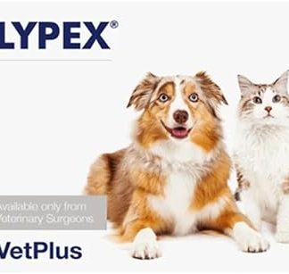 Lypex Pancreatic Enzyme Capsules for Dogs (Pack of 60)