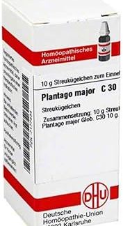 Plantago Mayor C30, 10 g
