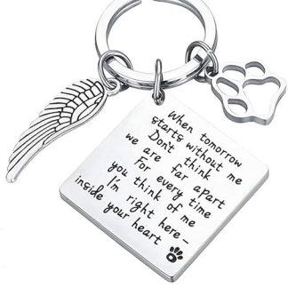 WANGCL Stainless Steel Paw Print Keychain with Lost Dog Pet Cat Memory Box