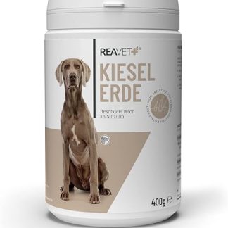 ReaVET Silica Powder Dog 400 g - High Dose to Support Skin and Coat I Barf Additive, Silicon, Healing Clay for Dogs, Supports Skin Function