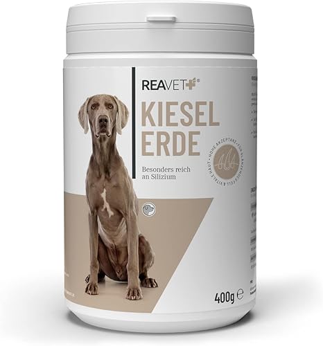 ReaVET Silica Powder Dog 400 g - High Dose to Support Skin and Coat I Barf Additive, Silicon, Healing Clay for Dogs, Supports Skin Function