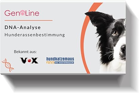 GenoLine DNA Dog Breed Determination (Standard)
