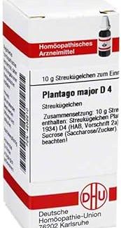 Plantago Major D 4 Globules 10 g
