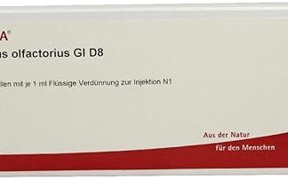 Bulbus Olfactorius GL D 8 – 10x1