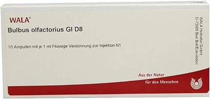 Bulbus Olfactorius GL D 8 – 10x1