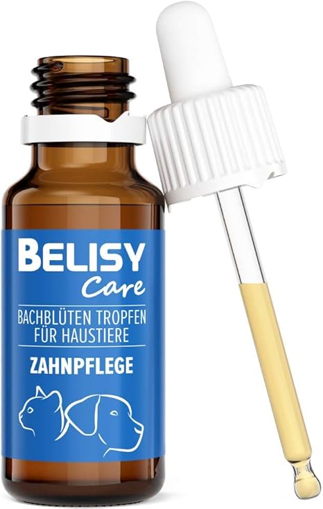 BELISY Bach Flowers Dental Care Drops for Dogs and Cats - Special Bach Flower Mix for Teeth with Thyme & Peppermint - 20 ml