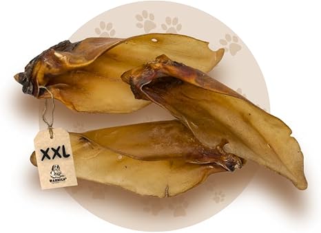 'Cow Ears With Sea Shell in XXL – WARNICK's Service
