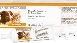 alfavet DiaPaste PRO 60 ml Injector - Diet Supplementary Feed for Dogs & Cats - Pre- & Probiotics to Stabilise Digestion - Delicious Paste with Bentonite to Support the Intestinal Flora