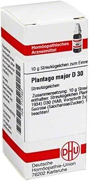 Plantago Major D 30 Globules 10 g