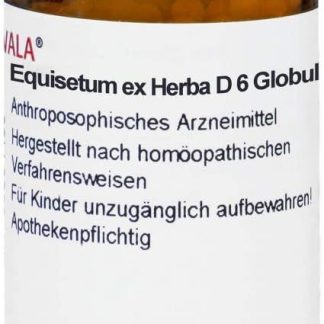 Equisetum EX Herba D 6 Globules 20 g Drops