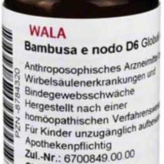 Bamboo E Nodo D 6 Globules 20 g