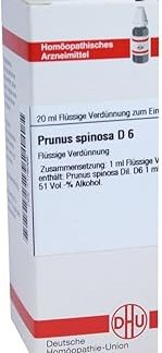 Prunus Spinosa D 6 Dilution 20 ml